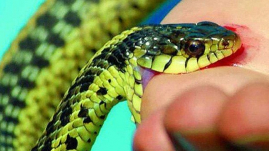 Nóng 24h ngày 3/2: Diễn biến hy hữu trong vụ án mạng ở Hải Phòng